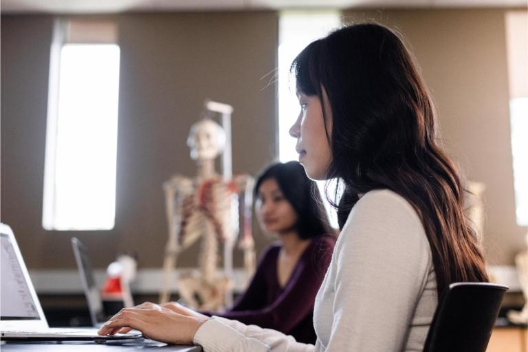 students on laptops